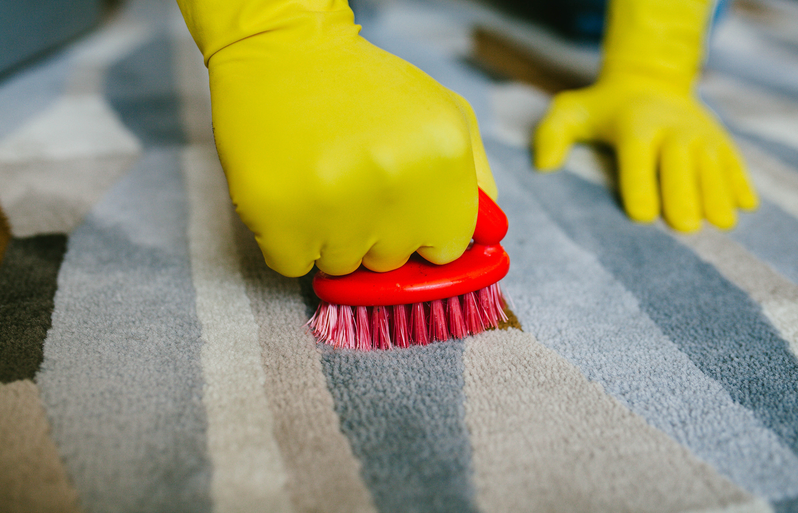 The Best Carpet Stain Removers For Your Home And Office